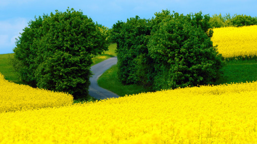 1189615 (a): :2560x1440